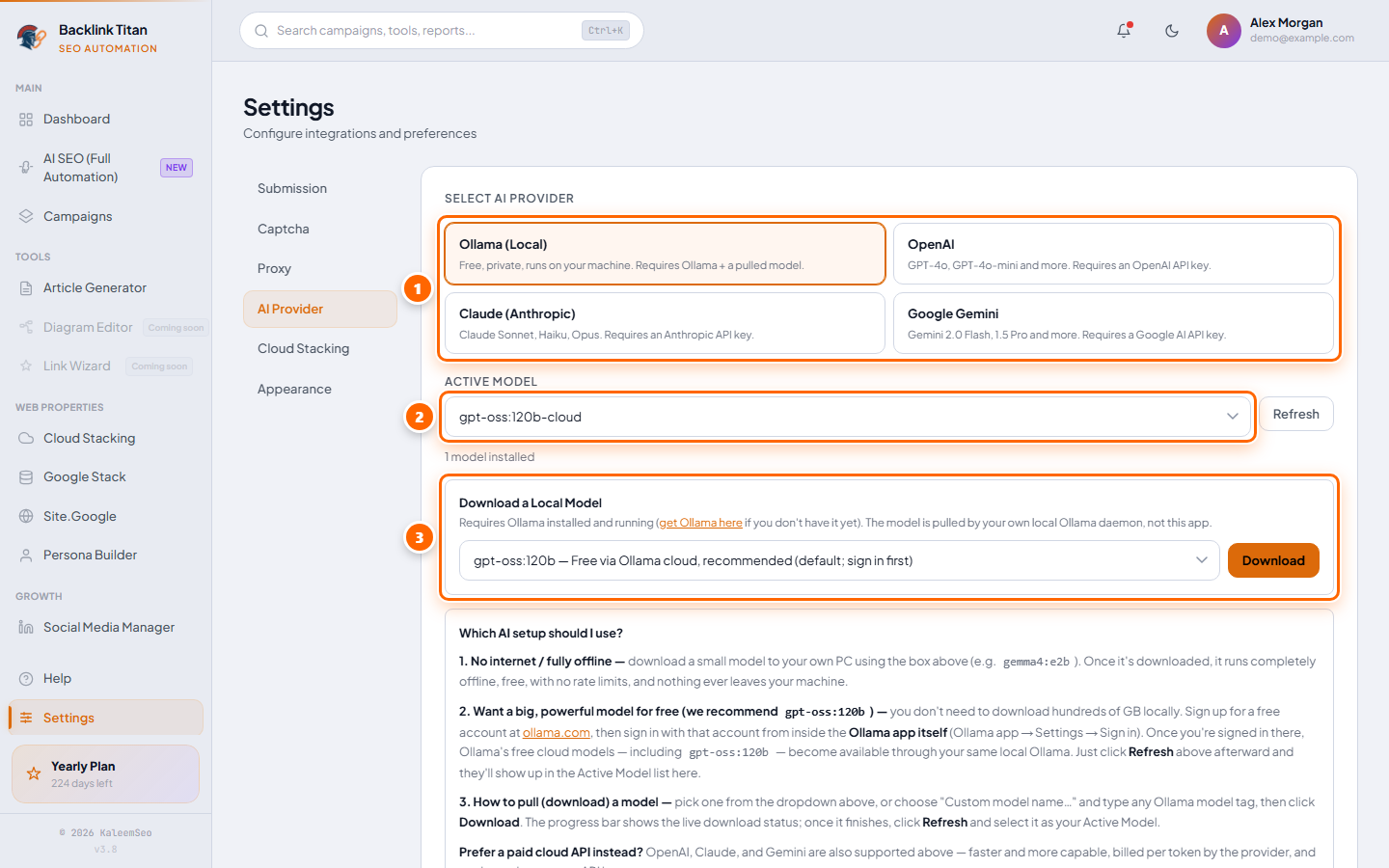 Settings AI Provider page